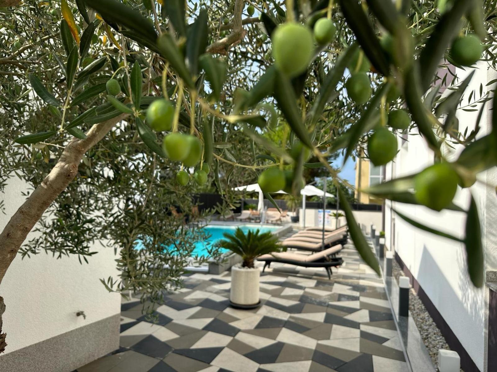 Apartments Laura 1 Privlaka  Dış mekan fotoğraf